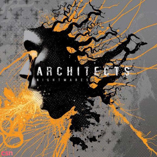 Architects