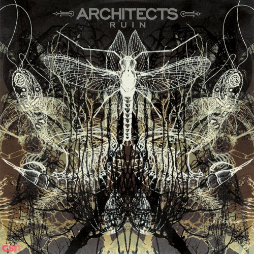 Architects