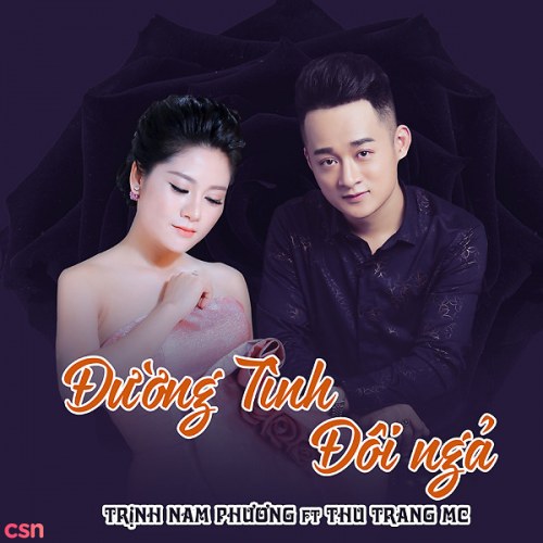 Đường Tình Đôi Ngã (Single)