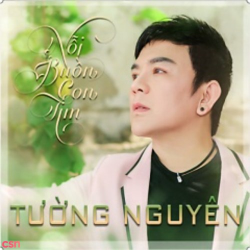 Tường Nguyên