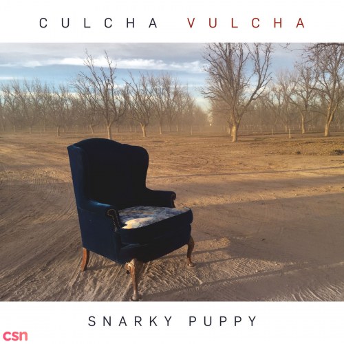 Culcha Vulcha