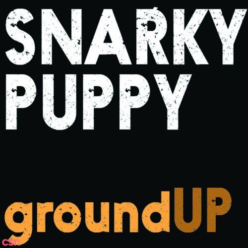 Snarky Puppy