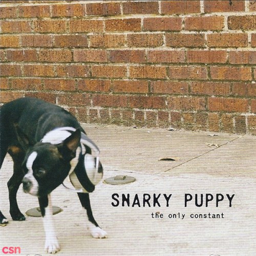 Snarky Puppy