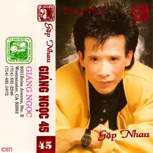 Tuấn Vũ