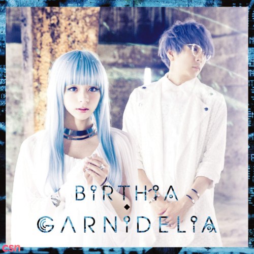 GARNiDELiA