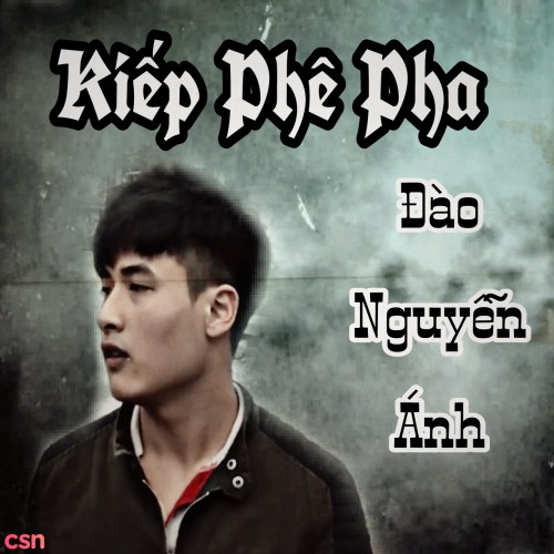 Đào Nguyễn Ánh