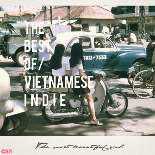 Bùi Công Nam