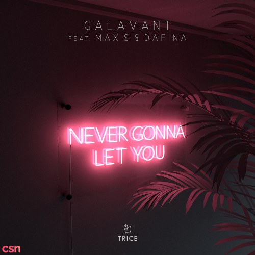 Never Gonna Let You (Single)