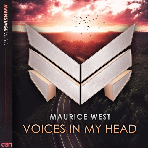 Voices In My Head (Single)