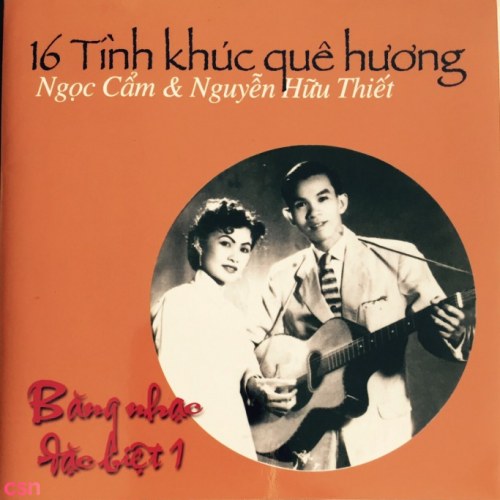 Nguyễn Hữu Thiết