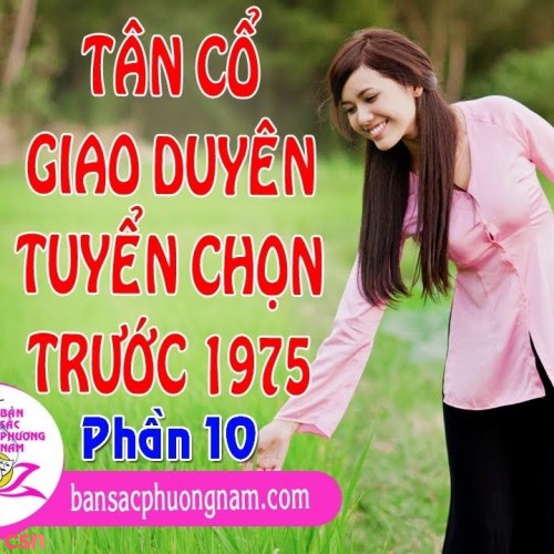 Trang Mỹ Dung