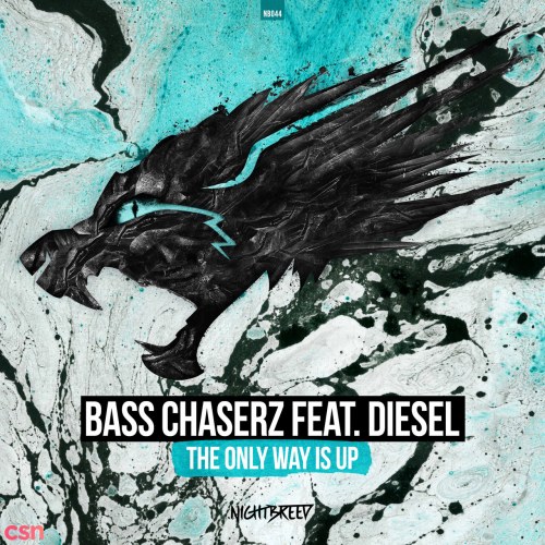 Bass Chaserz
