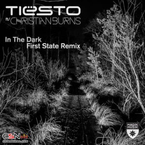 In The Dark (First State Remix) - Single