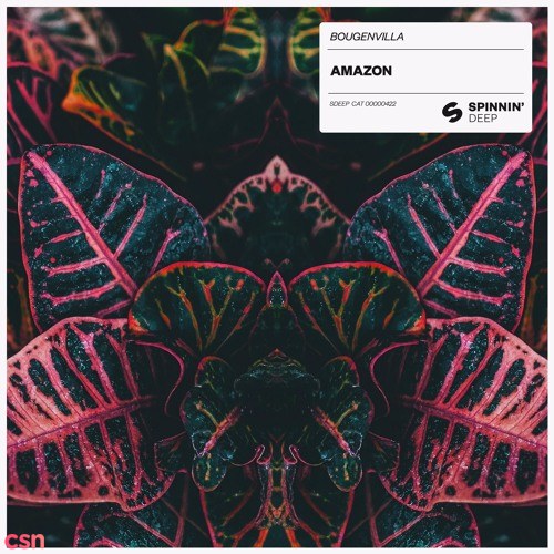 Amazon (Single)