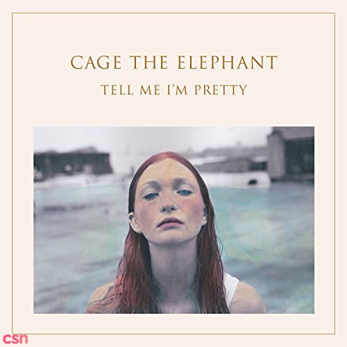 Cage The Elephant