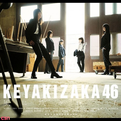 Keyakizaka46