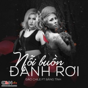 Nỗi Buồn Đánh Rơi (Single)