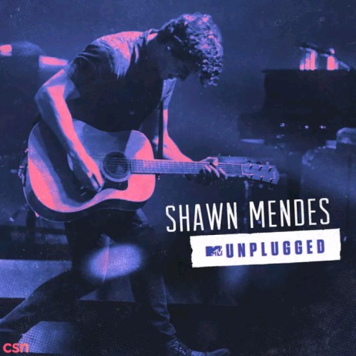 MTV Unplugged: Shawn Mendes