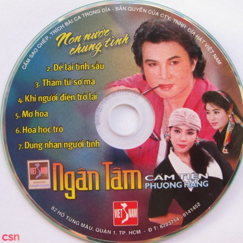 Non Nước Chung Tình (Tân Cổ)