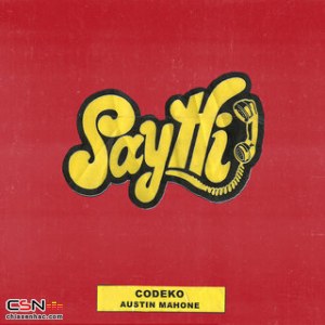 Say Hi (Single)