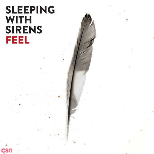 Sleeping With Sirens