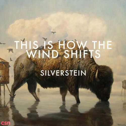 This Is How The Wind Shifts