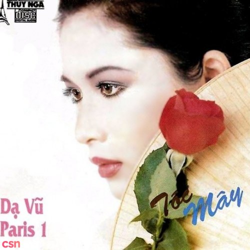 TNCD001 Dạ vũ Paris 1 - Tóc mây