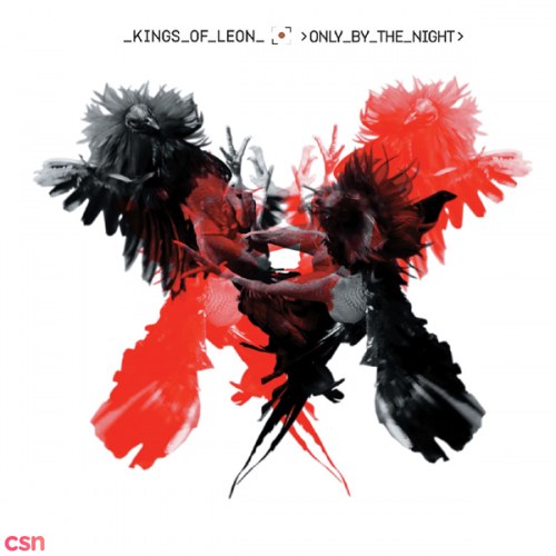 Kings Of Leon