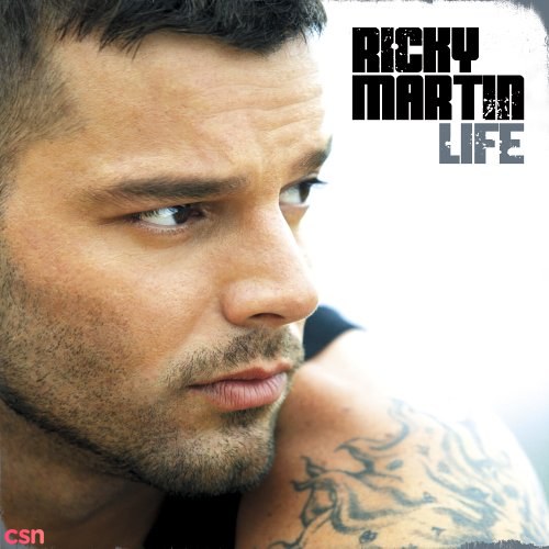 Ricky Martin