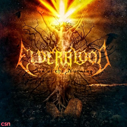 Elderblood