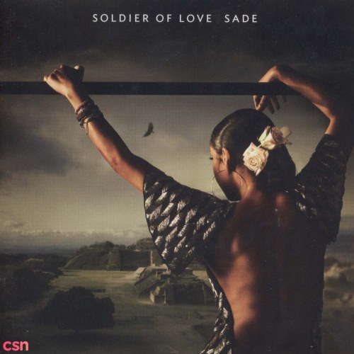 Soldier Of Love