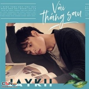 Vài Tháng Sau (Single)