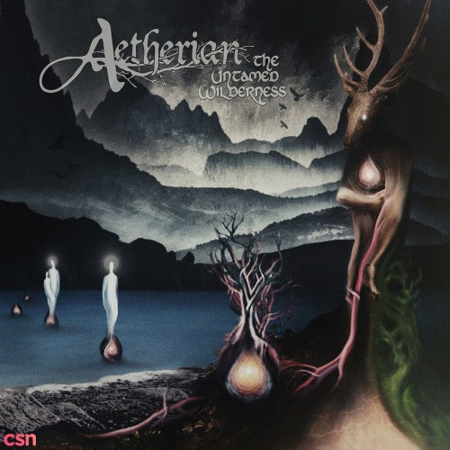 Aetherian