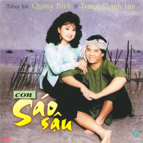 Con Sáo Sậu