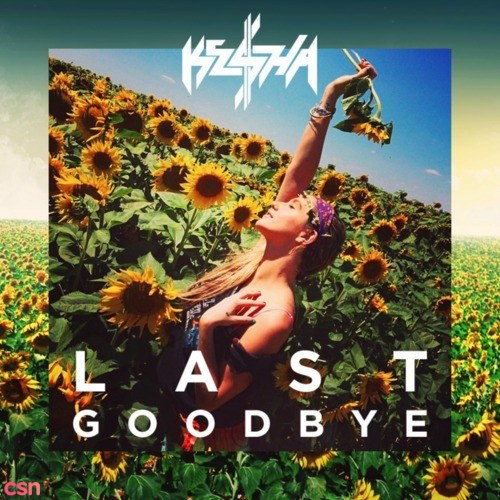 Last Goodbye (Single)