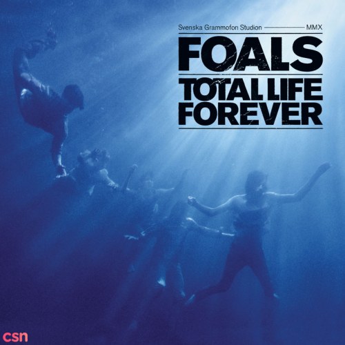 Total Life Forever (CD2)