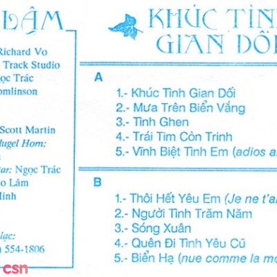 Khúc Tình Gian Dối - Cao Lâm 6