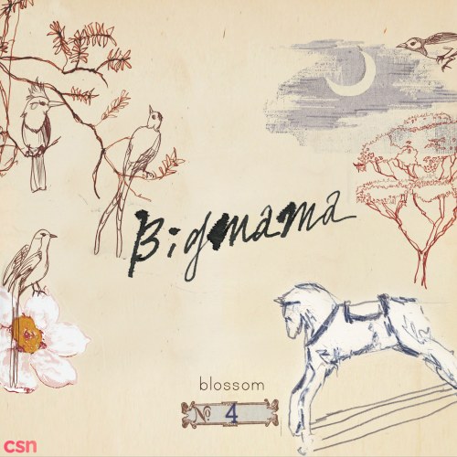 Blossom (Vol. 4)