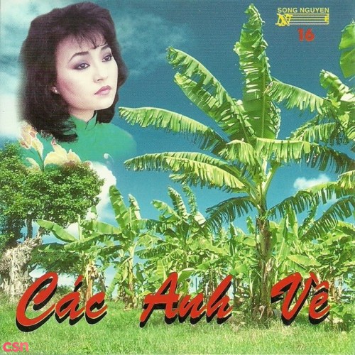 Các Anh Về