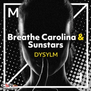 DYSYLM (Single)