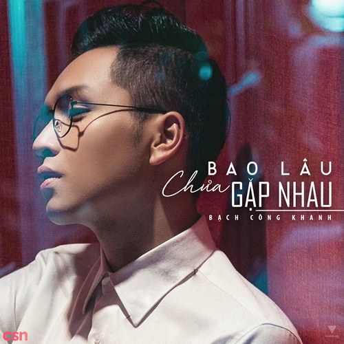 Bao Lâu Chưa Gặp Nhau (Single)