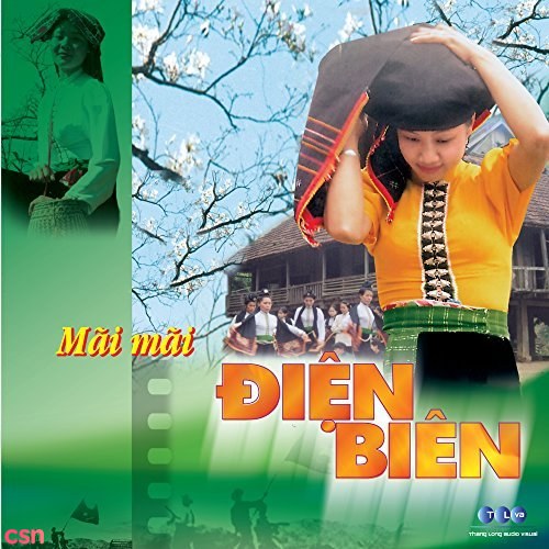 Mãi Mãi Điện Biên