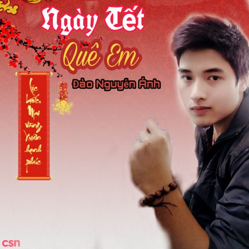 Đào Nguyễn Ánh