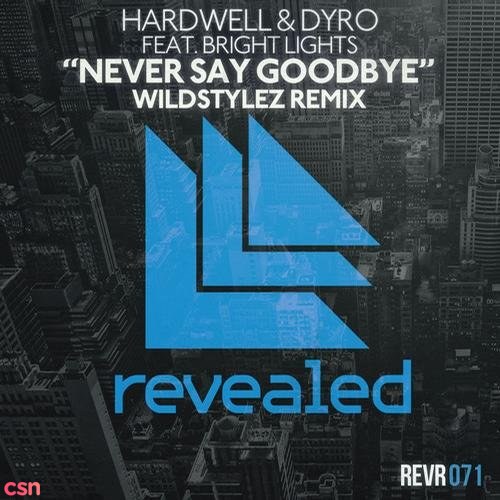 Never Say Goodbye (Wildstylez Remix) (Single)