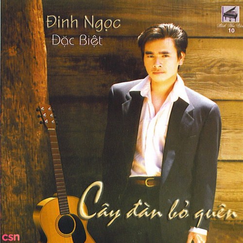 Cây Đàn Bỏ Quên