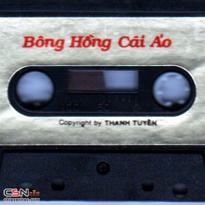 Bông Hồng Cài Áo (Tape)