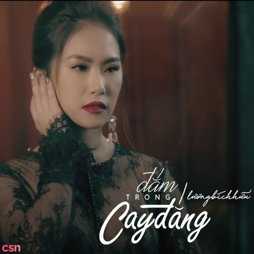 Đắm Trong Cay Đắng (New Version) (Single)