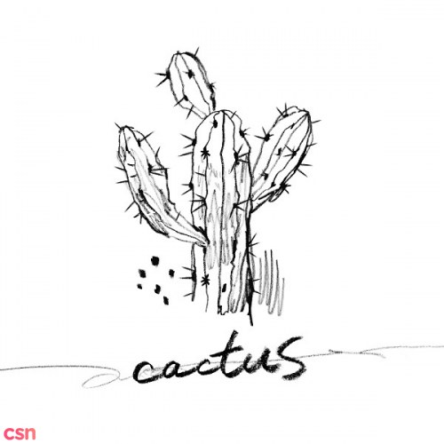 Cactus (Single)