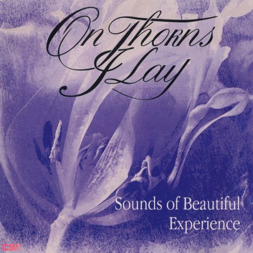 Sounds Of Beautiful Experience