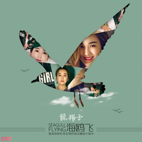 Hải Âu Phi (海鸥飞) (Single)